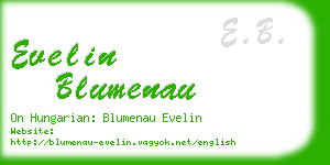 evelin blumenau business card